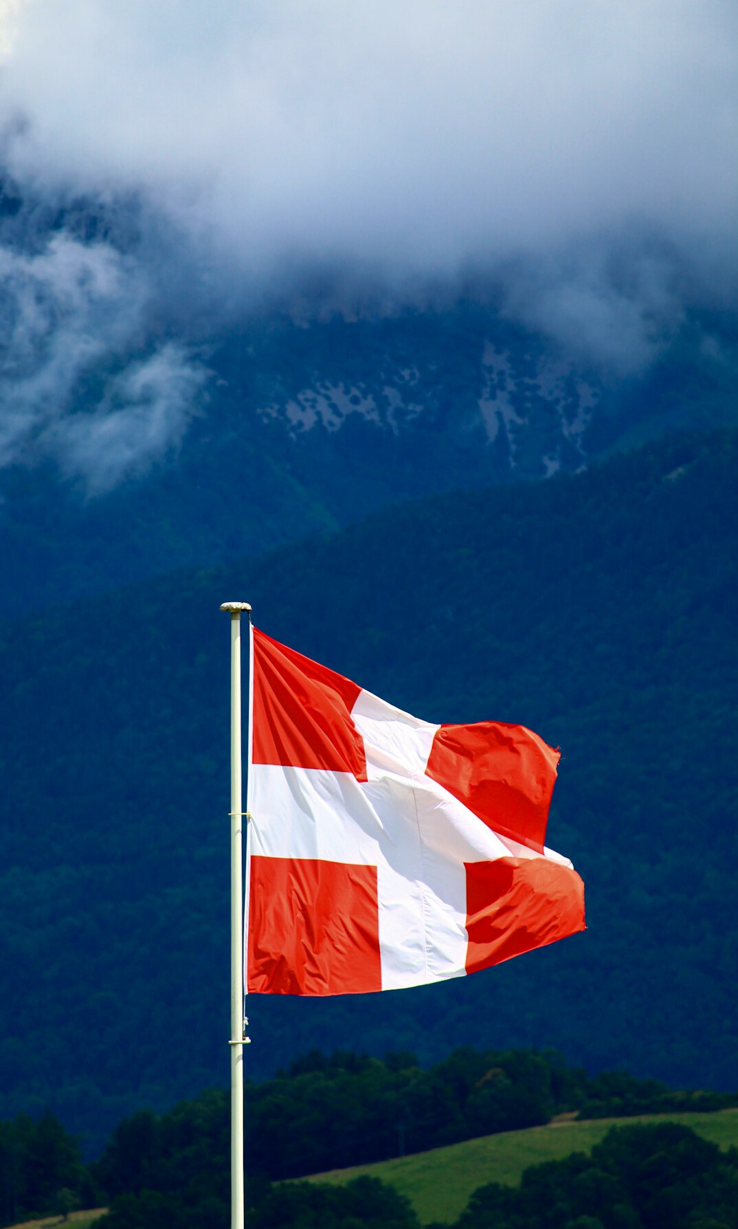 swiss flag and mountains